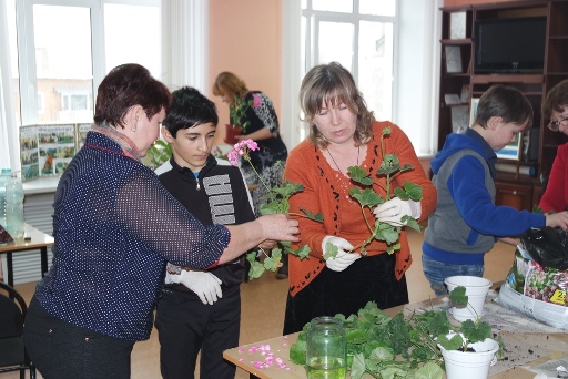 В Пугачеве проводится акция «Бабушкина герань – погода в доме»