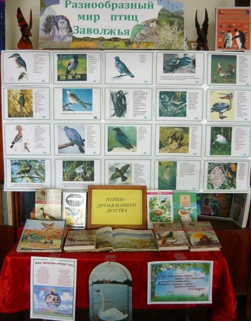 В библиотеках Пугачевского района провели Международный день птиц