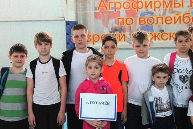 В Пугачеве прошли соревнования по плаванию