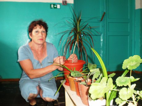 «Хозяюшки» с.Жестянка поделились секретами ухода за домашними растениями
