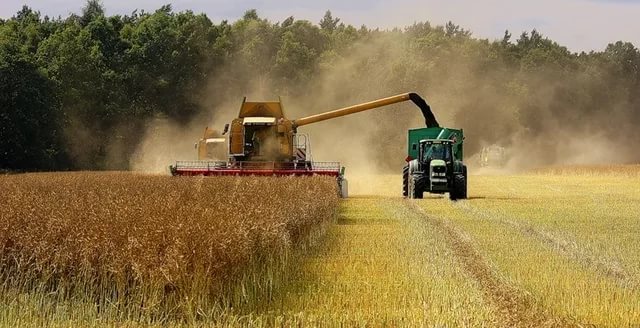 Все хозяйства Пугачевского района приступили к уборке урожая