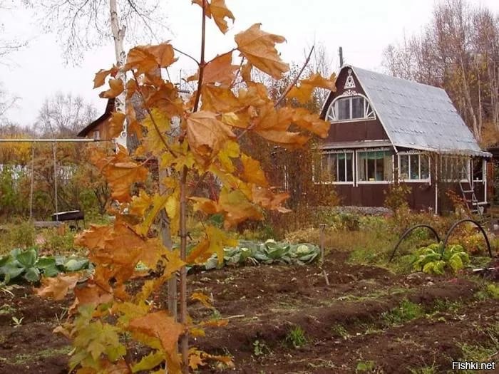 Как законсервировать на зимний период дачу, загородный дом