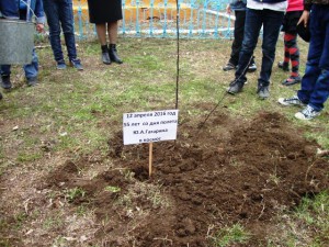 В с.Красная Речка посадили дерево в честь полета Ю.А. Гагарина  в космос
